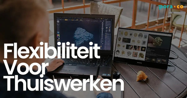 Flexibiliteit Voor Thuiswerken